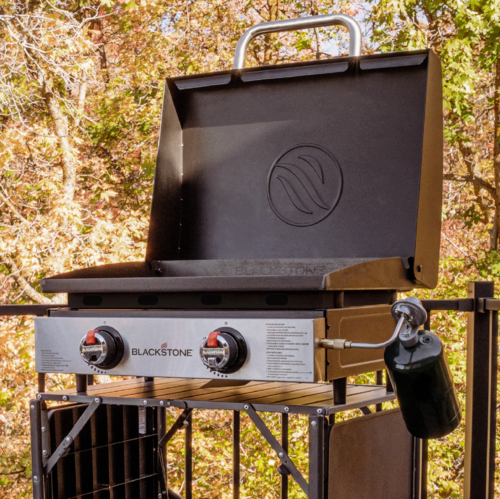 2 Burner Gas Grill with Lid