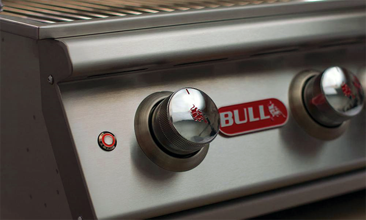 BULL ANGUS SIN CARRO