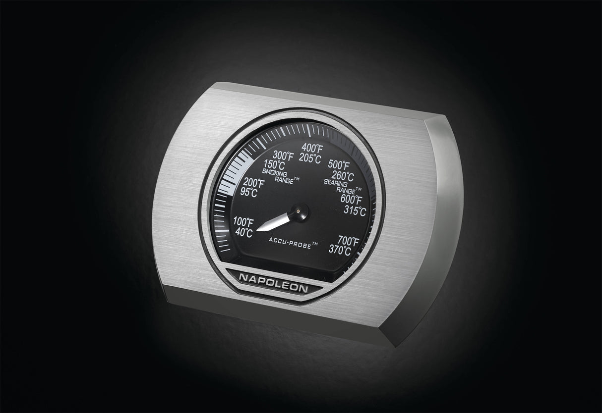 NAPOLEON ROGUE SE625 BLACK