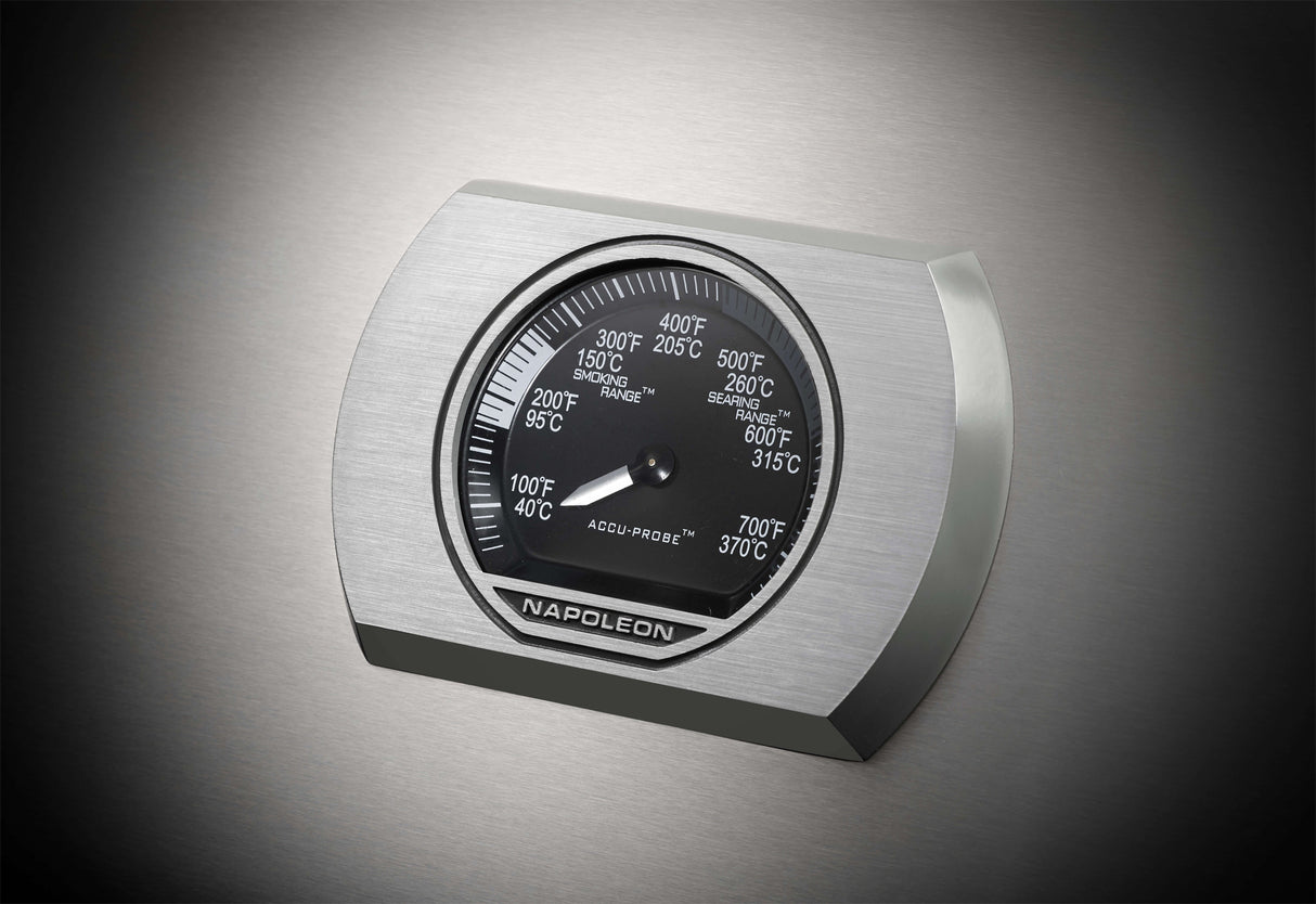 NAPOLEON ROGUE SE625 INOX