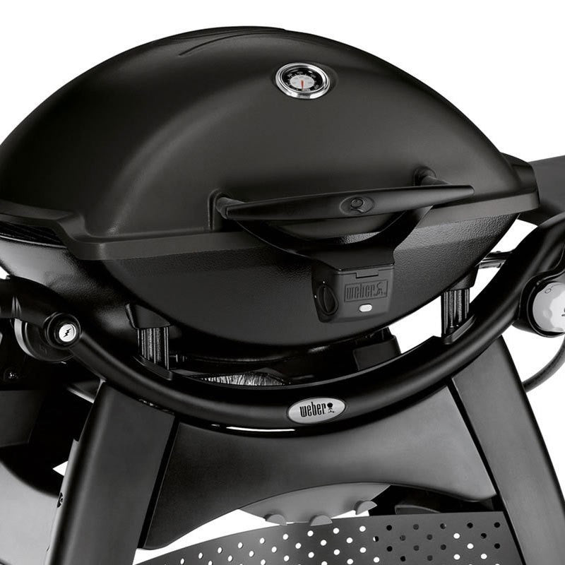 Weber® Q 3200
