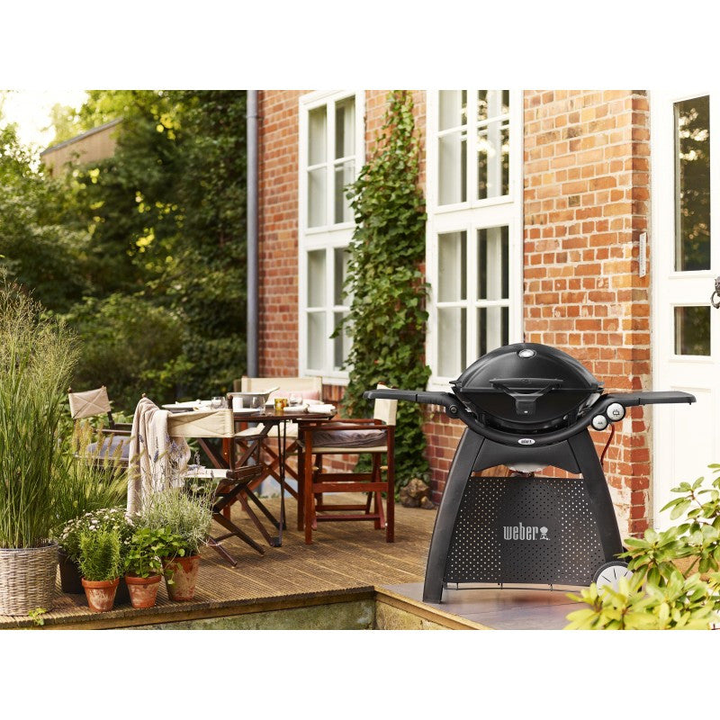 Weber® Q 3200