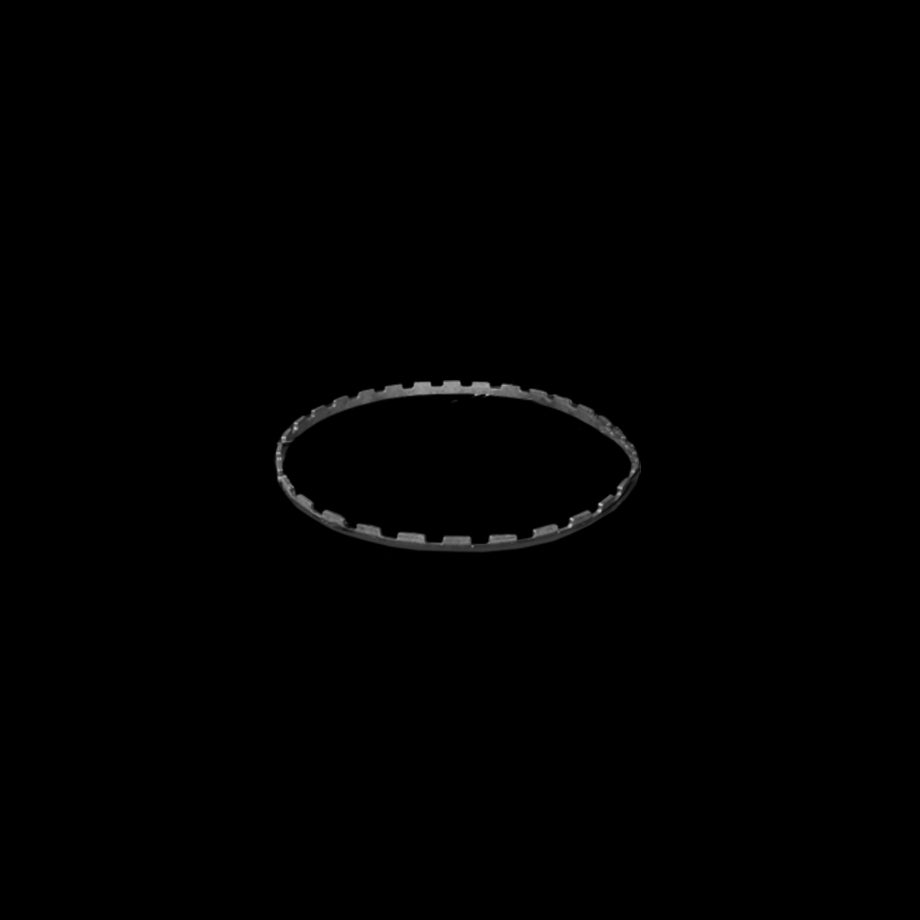 RING FOR HORIZONTAL SKEWERS 100
