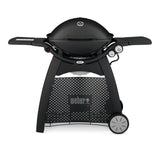 Weber® Q 3200